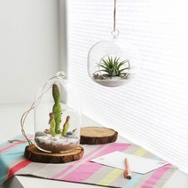 화분백화점 생활유리 유리장식 유리볼 행잉 SH03018, SH669-11(1개)