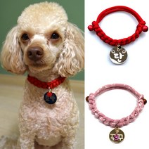 펫츠룩 가볍고예쁜 강아지 고양이 인식표 목걸이, 10데일리그린, 1개