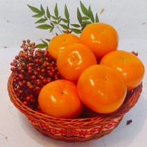 GAP인증 밀양단감 단감, 1박스, GAP인증 밀양단감5kg23-26과