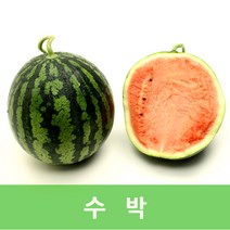 자체브랜드 하우스수박, 꿀수박7kg내외