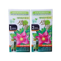 프라나 색솔 웰빙 허브 칼라 크림 염모제, 1개, 1.자연흑갈색