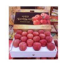 자체브랜드 지리산사과5kg 명절선물 함양사과, 5, 사과11과
