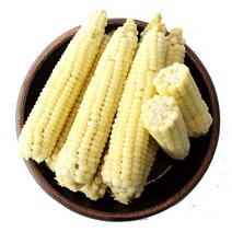 친환경팔도 괴산 대학 찰생옥수수(급냉) 15통, 1box, 하(15cm이하)
