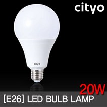 LED 전구 벌브 20W 주광색 전구색 PC바디 엘이디 램프 /씨티, 주광색(하얀빛), 1
