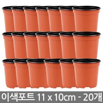 한성 이색포트 13호 20개 플라스틱 화분 다육이화분 포트, 03_한성_이색포트 11호(20개)