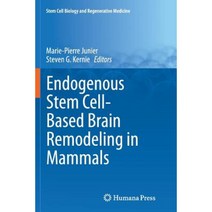 Endogenous Stem Cell-Based Brain Remodeling in Mammals Paperback, Springer
