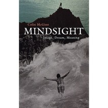 Mindsight: Image Dream Meaning Paperback, Harvard University Press
