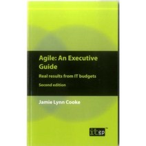 Agile: An Executive Guide Paperback, It Governance Ltd