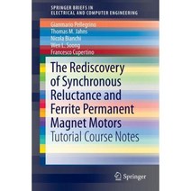 The Rediscovery of Synchronous Reluctance and Ferrite Permanent Magnet Motors: Tutorial Course Notes Paperback, Springer