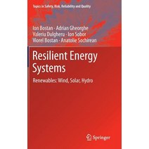 Resilient Energy Systems: Renewables: Wind Solar Hydro Hardcover, Springer