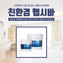 그린파크 헵시바 - 결로 곰팡이 습기 외풍 제거용 친환경페인트, 02.헵시바B 5kg
