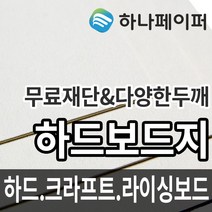 하나페이퍼 하드보드지, 라이싱보드 2P[LP2], 4절ㅡ20매
