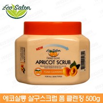 다오몰 에코살롱 살구스크럽폼클렌징(500g)스크럽 폼클렌징 에코살롱살구스크럽, 1개, 500g