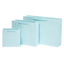 이엔그린 종이쇼핑백, 선택87)컬러무지-하늘(소)-1매