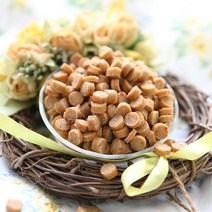 코코밥 피부트러블 없애는 연어사료 수제사료, 1.5kg