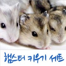 웰컴펫 키우기세트 햄스터 필수품세트 A, 1개