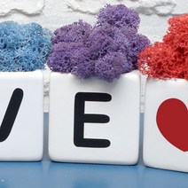 스칸디아모스 천연이끼 공기정화 이니셜 큐브, 이니셜 화이트 큐브 모스-퍼플