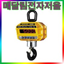 CAS 전자 매달림저울/CASTON-III/5000kg(2kg)/산업현장/고물상/리모콘/산업체 전자매달림저울/CAS