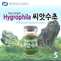 YB 하이그로필라 씨앗수초 S