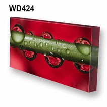 몽차 와이드 캔버스액자, WD424