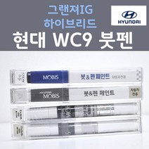 순정품 현대모비스 그랜져IG하이브리드 WC9 (2개세트) 붓펜 자동차 차량용 카페인트, 2개, 8ml