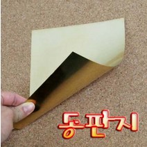 [사이언스몰] 동판지(소 중), 중형