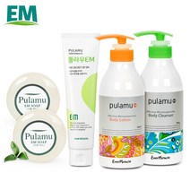 EM 풀라무 4종 세트(샴푸 1 바디클렌저 치약 투명비누 2), 1세트