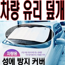 차량 유리덮개 차량용품