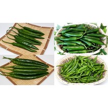 산들팜 풋고추(미인고추 모닝고추 롱그린고추 청양고추), 1개, 청양고추1kg