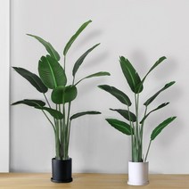 극락조 인테리어 나무(120cm)+무광 인테리어 화분(대), 축하합니다 리본 추가, 무광 인테리어화분-모카그레이(대17x18)