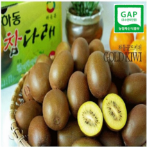 보성벌교농협 달콤한 국내산 골드키위, 1box, 골드키위 5kg (31-40과)