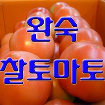 과일몰 고당도 완숙 찰 토마토 10kg 대용량, 1box, 쥬스용 못난이 중과 10kg