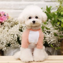 펫디자인 라인나그랑 티셔츠 강아지옷, 5XL