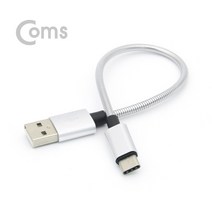 ASIE860 USB 3.1 C타입 케이블 고속충전 메탈 20cm Metal Silver 2.4A, 1개
