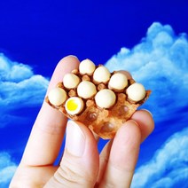 아리야 빈티지 키친 미니어처 냉장고 자석, 달걀1판