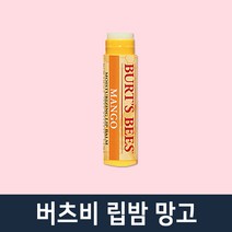 버츠비 립밤 9종 비즈왁스 자몽 허니 와일드체리 스트로베리, 1개, 망고
