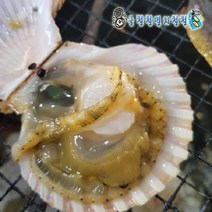 큰조개세트 4인분조개찜 조개구이 12시이전결재 당일발송 캠핑음식추천, 1개, 가리비5kg