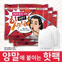 핫한날 양말에 붙이는 발핫팩 44g 100매, 100개