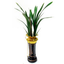 플라워리퍼블릭 산천보세21 꽃배달 화분 개업화분 집들이화분 동양란