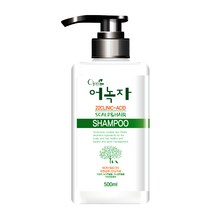 어녹자 22클리닉 어성초 샴푸, 500ml, 1개