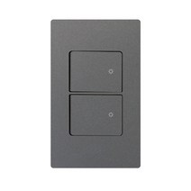 제일전기 디노 다크그레이 스위치 2구, 1개