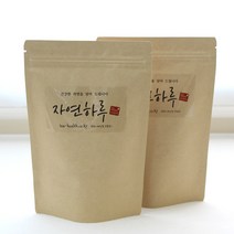 자연하루 겨우살이 티백차 30g