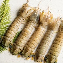 직접조업)서천 마량포구 갯가재 1kg, 1box, 2kg