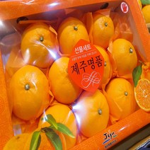 달달과수원 달콤한 천혜향 선물세트 3kg 특품, 2박스, 3kg(총6kg)