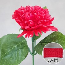 블랙앤화이트 비누꽃 카네이션 50p + 잎사귀꽃대, 빨강