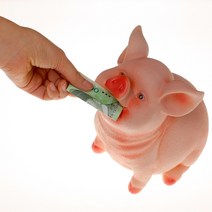 캐보트 돼지저금통 리얼돼지저금통 대, 1개