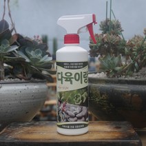 다육이랑