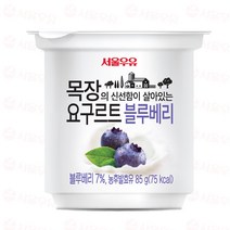 서울우유 목장의 신선함이 살아있는 요하임 블루베리 85g 4개입 6세트