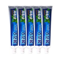 페리오 후레쉬 치약 민트향, 150g, 5개