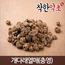 개다래열매(충영) 100g/약초/한방재료, 1개
